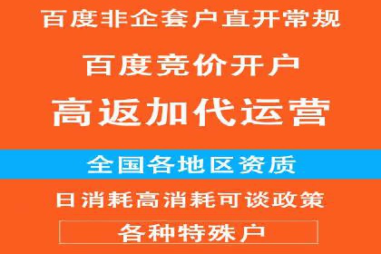 某知名企业SEM外包项目的成功经验分享